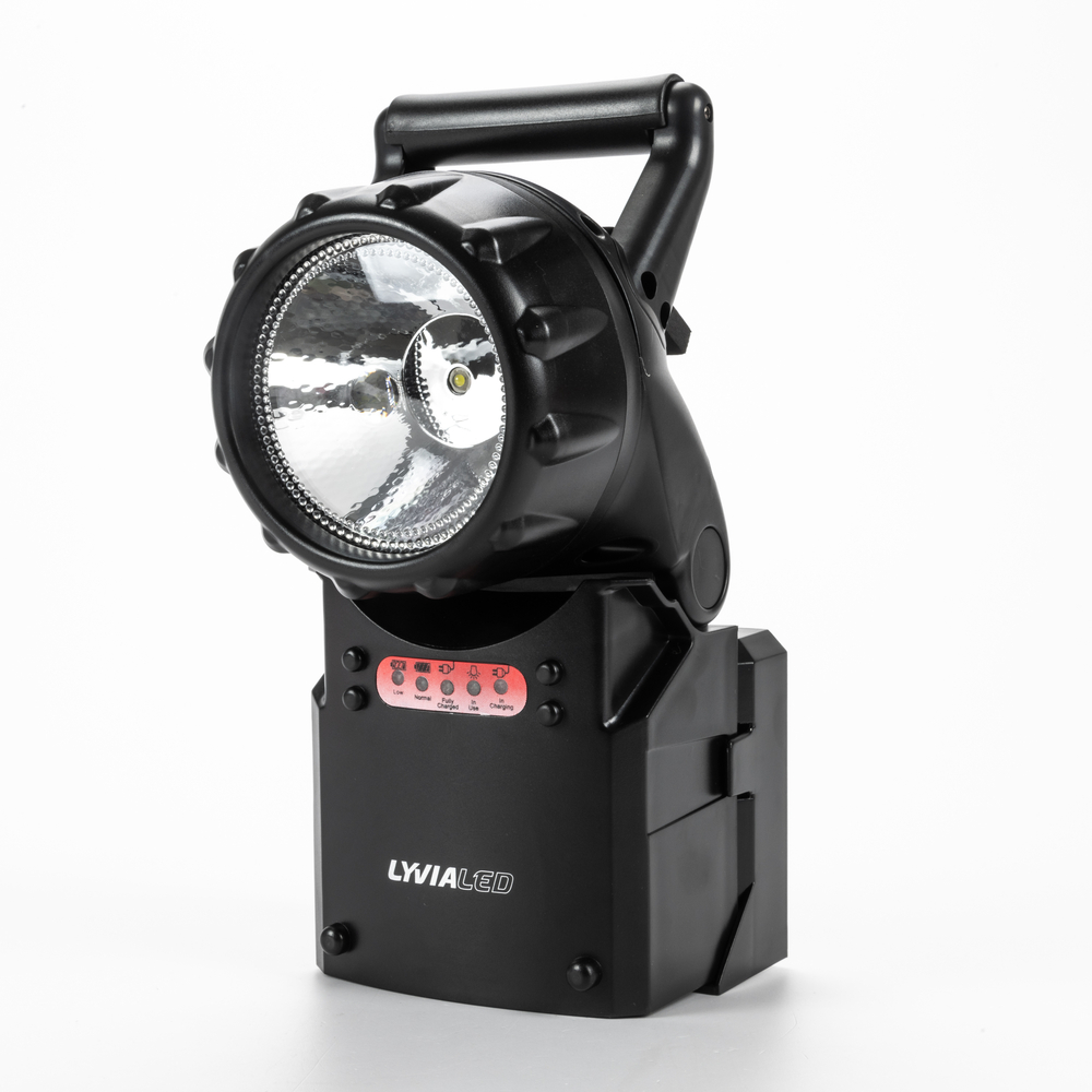 Lanterna ispezione portatile LED · Accensione automatica in caso di  emergenza - Luci di emergenza - Illuminazione