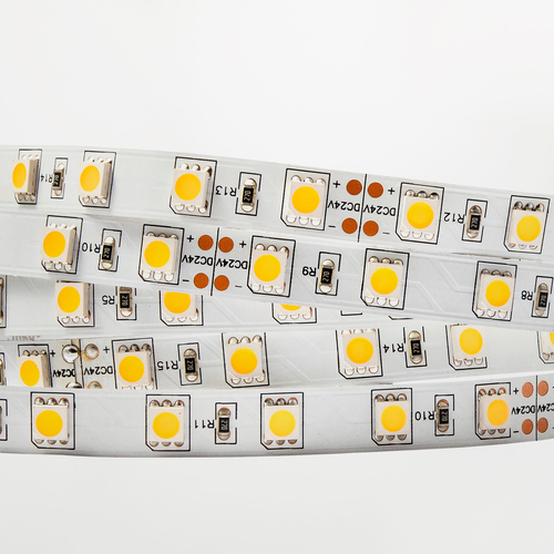 Striscia LED 24V · Per Interno IP20 · Alta Luminosità · Bobina 5 m · Luce Bianca Fredda