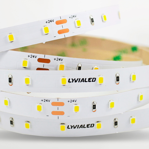 Strisce LED 24V · Bobina 5 m · Alta Luminosità · Per interno · Bianco Caldo 3.000°K · Dimmerabile