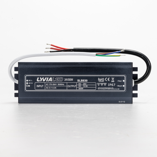 Alimentatore Stagno Switching · 24V · 300W · Dimensioni Compatte · Per Esterno · 2 Uscite