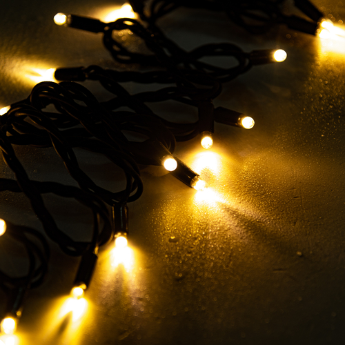Luci di Natale · Stringa Luminosa 40 LED · Per Esterno · Bianco Caldo · Cavo Nero · Waterproof