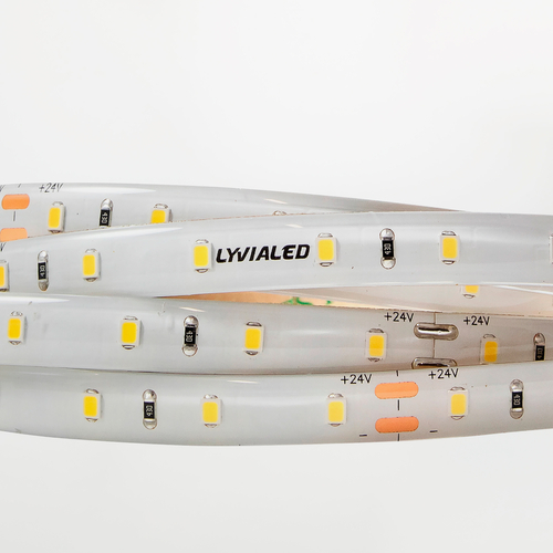 Striscia LED 24V Stagna · IP55 · Alta Luminosità · Bobina 5 m · Luce Bianca Calda