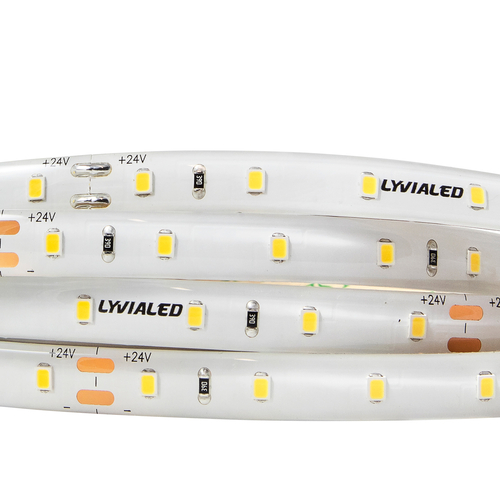 Striscia LED · Per esterni IP65 · Resistente agli urti · Bianco Diurno 4.000° K · 24V · Bobina 5m